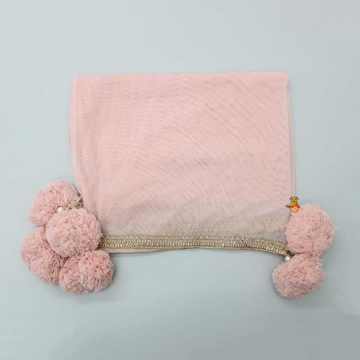 Tassels Enhanced Peach Net Dupatta