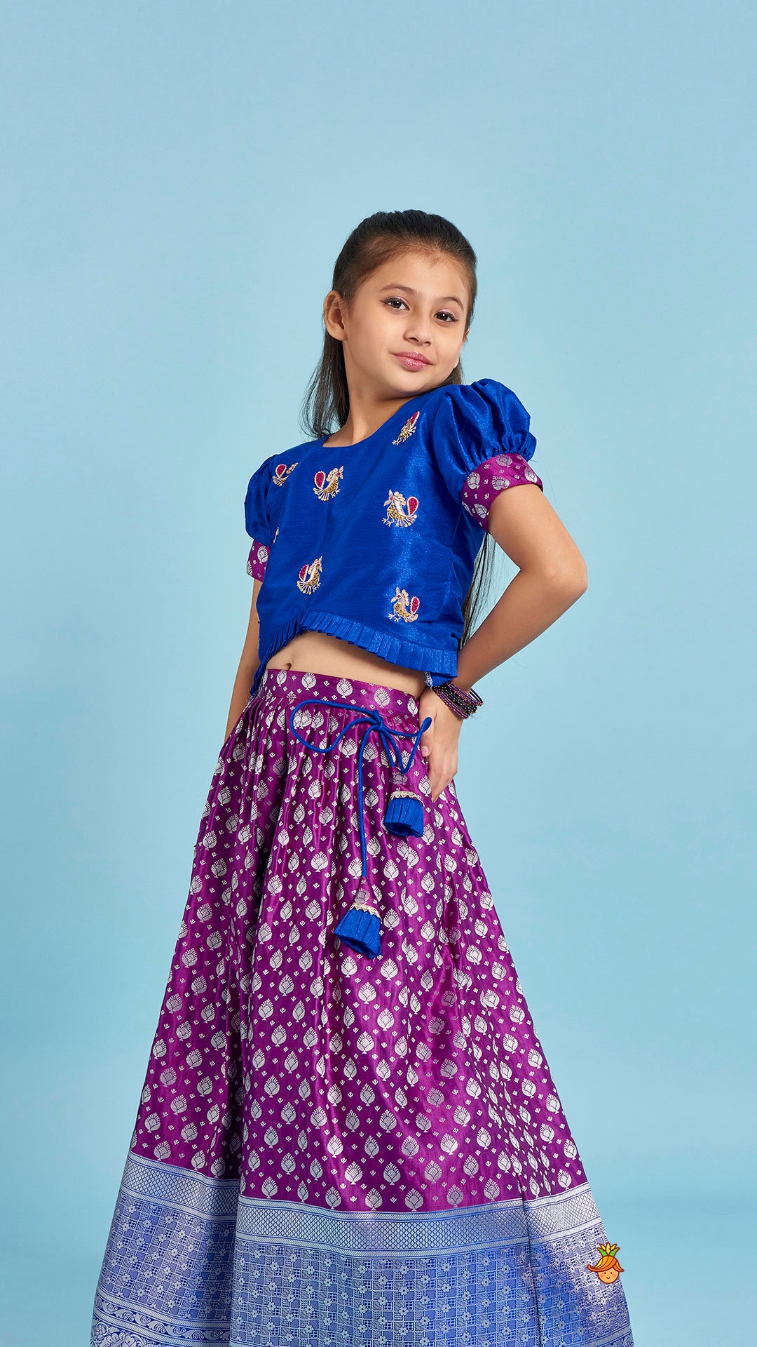Embroidered Top And Box Pleated Brocade Lehenga