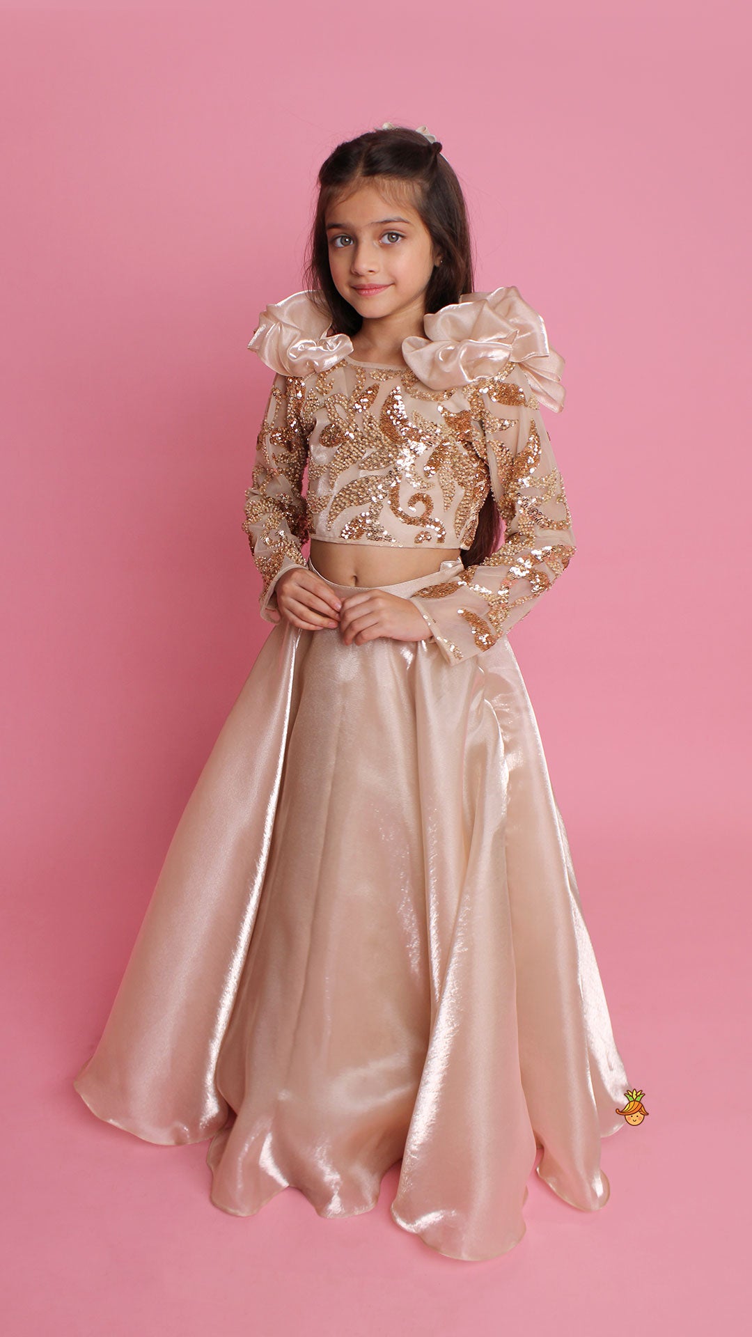 Embroidered Elegant Ruffle Detailed Top And Lehenga