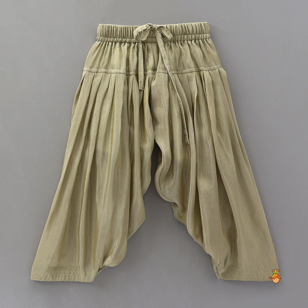 Charming Embroidered Sherwani With Pleated Patiala