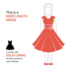 Zara A Line Dress