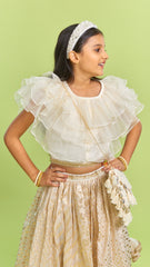 Organza Off White Frilly Top And Chanderi Embroidered Lehenga
