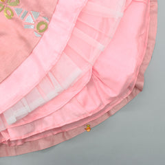 Pre Order: Pink Sequins Embroidered Anarkali With Mirror Lace Work Net Dupatta