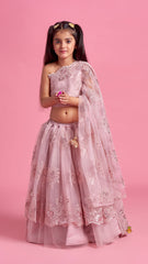 Exquisite Dusty Pink Embroidered One Shoulder Drape Top And Lehenga